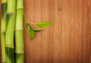 Le bambou pour votre maison : coup de cœur assuré ! l BambooTouch